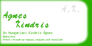 agnes kindris business card