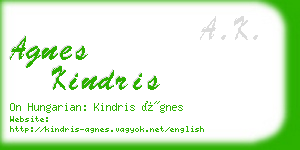 agnes kindris business card